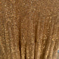 Flash Sale: Champagne Sequin Dress