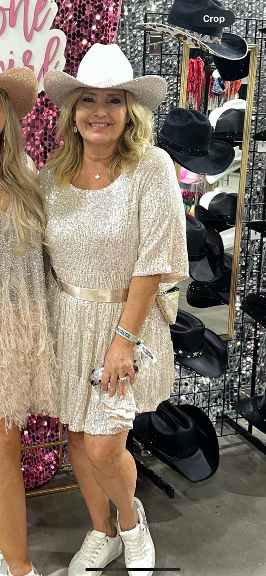 Flash Sale: Champagne Sequin Dress